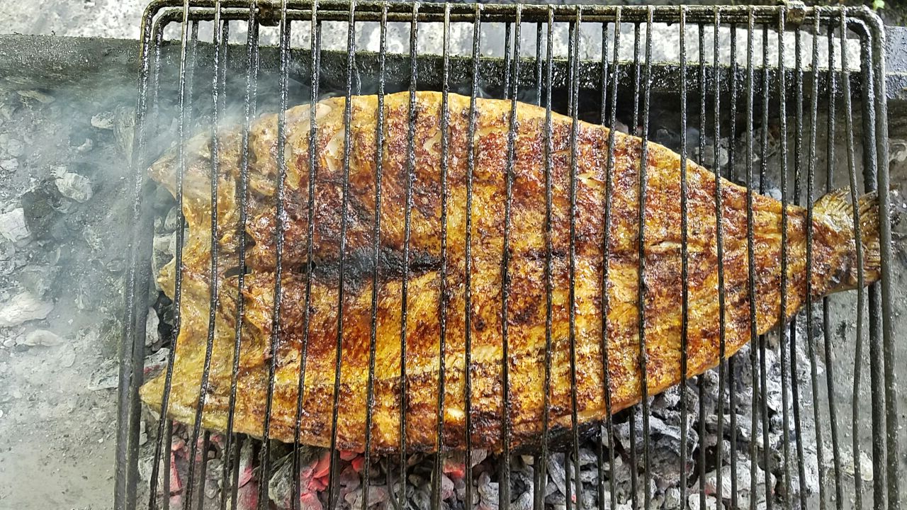 کباب ماهی قزل آلا