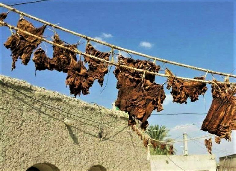 طرز تهیه تباهگ